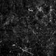 20"x20" Cambrian Black Luxury Vinyl Tile, Set of 6