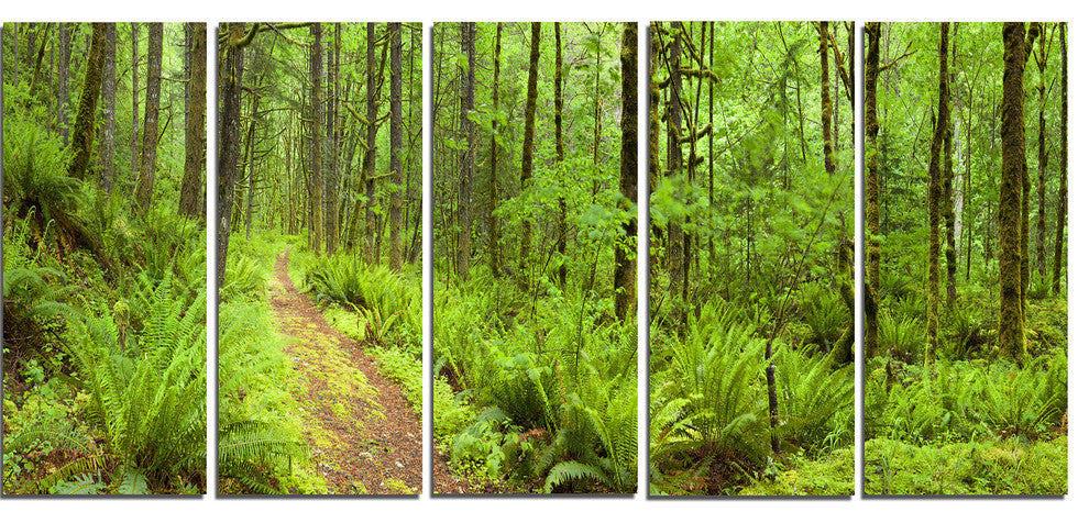 "Lush Forest Path Columbia River" Forest Wall Art Print, 5 Panels, 60"x28"