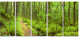 "Lush Forest Path Columbia River" Forest Wall Art Print, 5 Panels, 60"x28"