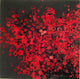 Dolya B Hand Tufted Rug, 6'x9'