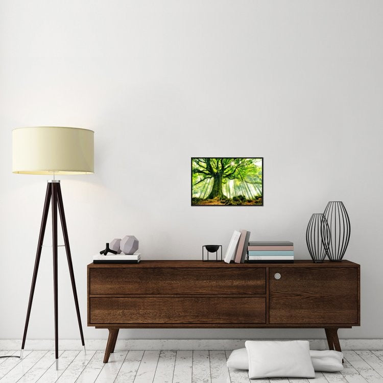 "Ponthus Beech" Framed Canvas Giclee by Christophe Kiciak, 23x16"