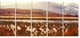 Cotton Flowers with Hills on Background, Floral Canvas Print, 60"x28", 5 Panels
