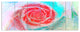 Mysterious Abstract Rose, Floral Canvas Art Print, 70"x28", 6 Panels