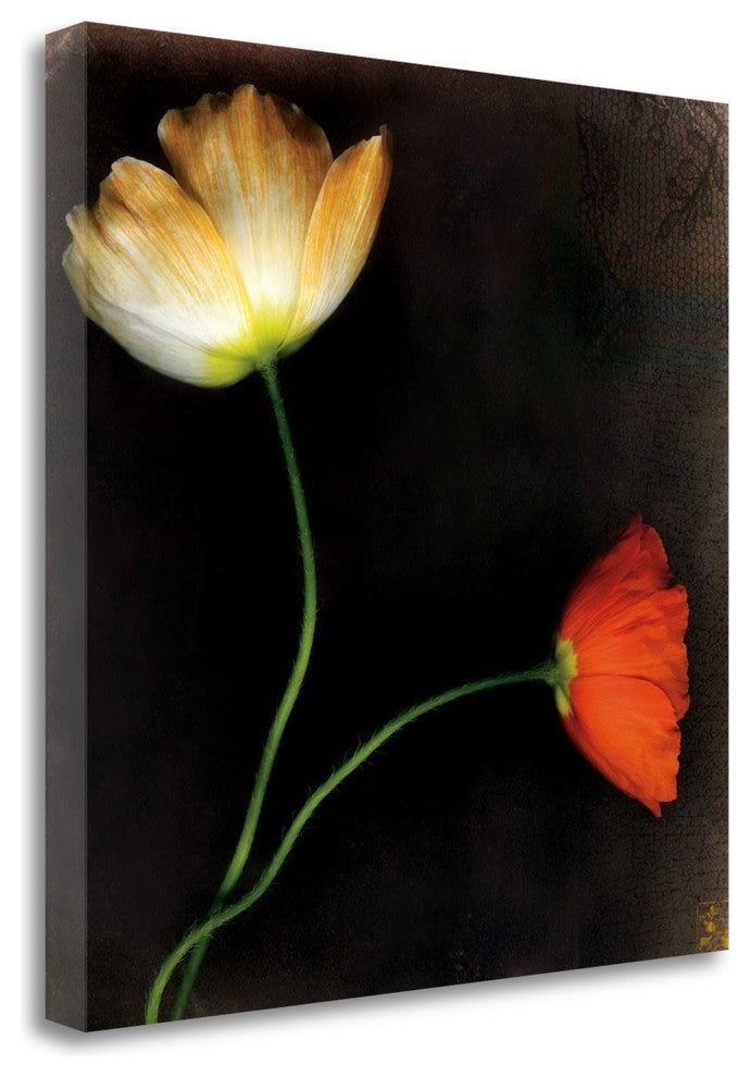 "Icelantic Poppies" By Rick Filler, Giclee Print on Gallery Wrap Canvas