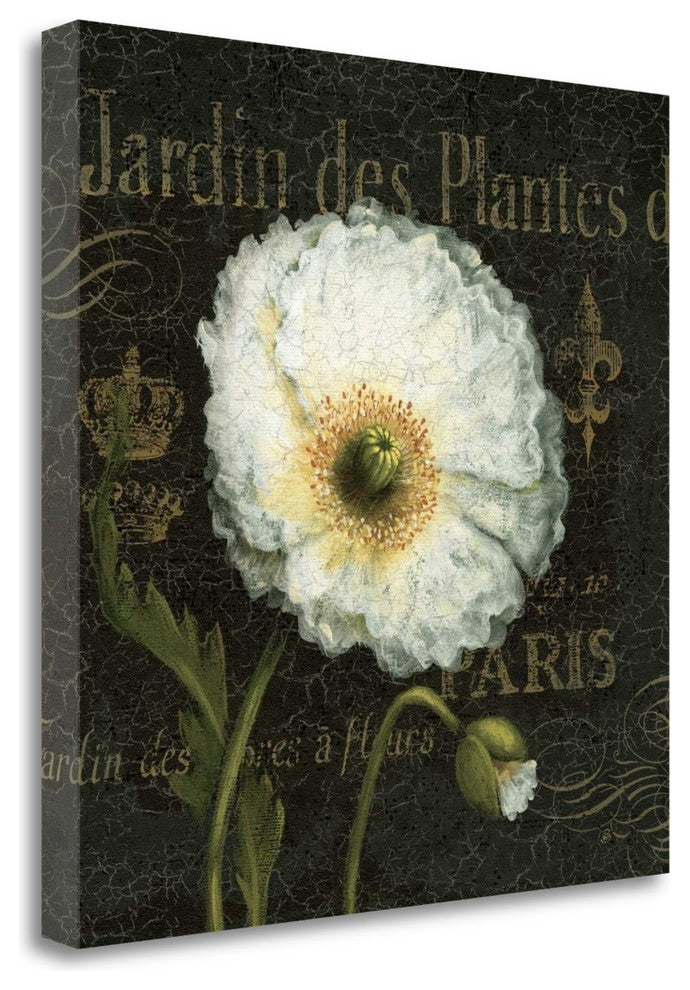 "Botanical Garden I" By Daphne Brissonnet, Giclee Print on Gallery Wrap Canvas