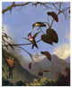 "Amethyst Woodstar" Digital Paper Print by Martin Johnson Heade, 15"x18"