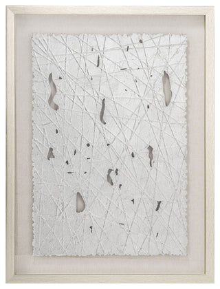 Lustrous Beauty, Modern Framed Shadow Box, Silver