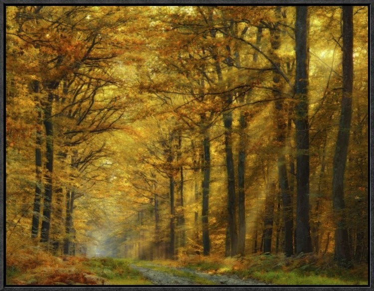 Enchanted Forest, 24"x18"