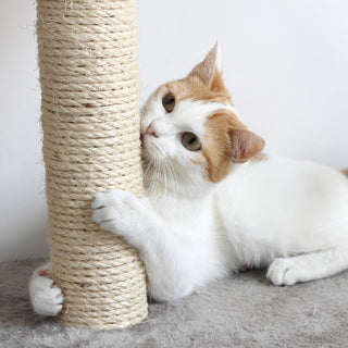 3-Piece Carpeted Large Cat Scratching Posts Set