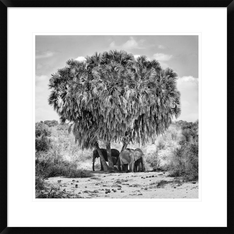 "Noon Meeting" Framed Digital Print by Marcel Rebro, 26"x26"