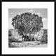 "Noon Meeting" Framed Digital Print by Marcel Rebro, 26"x26"