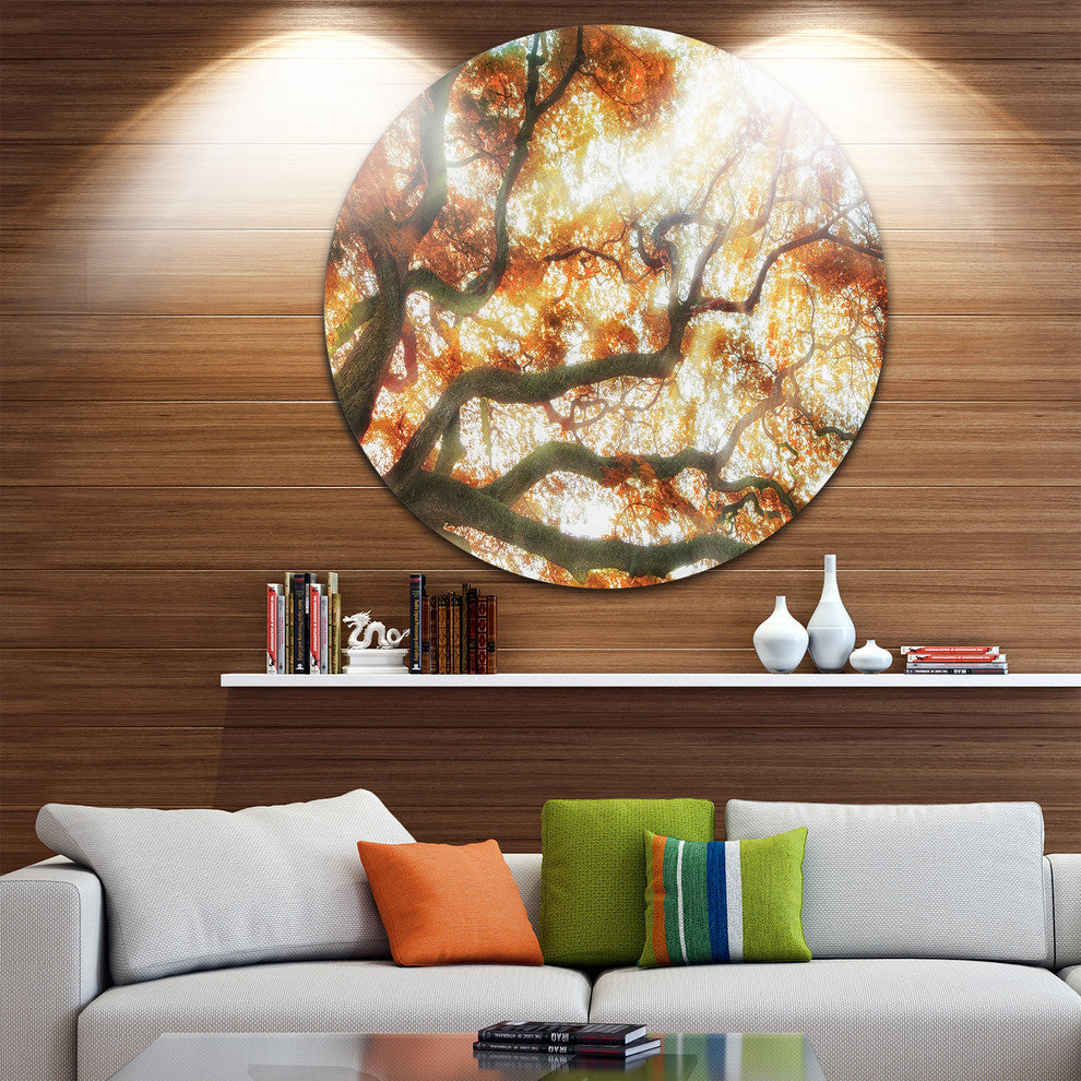 Big Tree, Photography Round Metal Wall Art, 36"