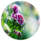 Pink Flowers On Green Background, Floral Disc Metal Artwork, 11"