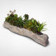 Artificial Succulents With Natural Rocks in Stone Log