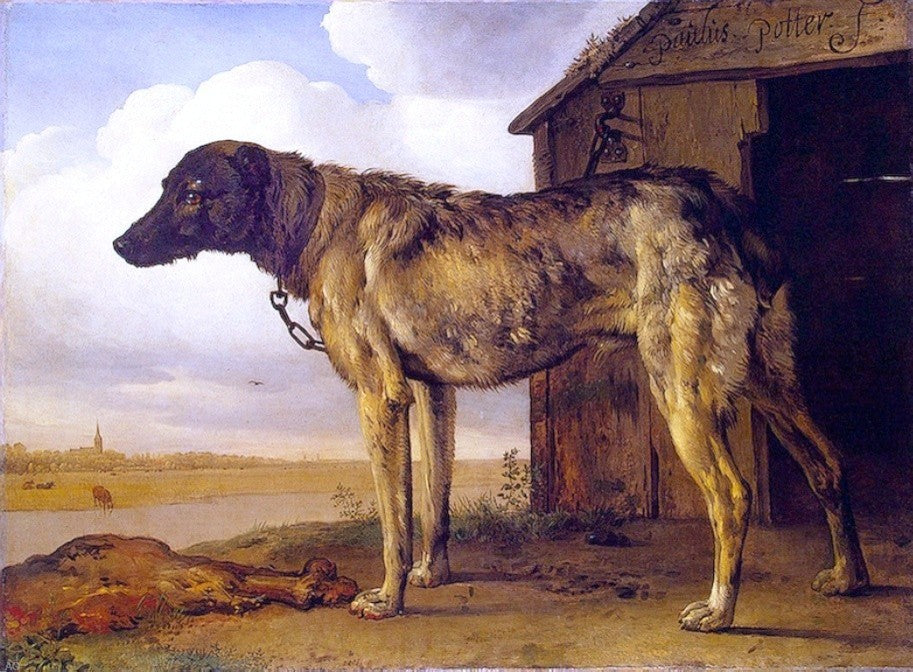 Paulus Potter The Wolf-Hound, 21"x28" Gallery Wrapped Canvas Print