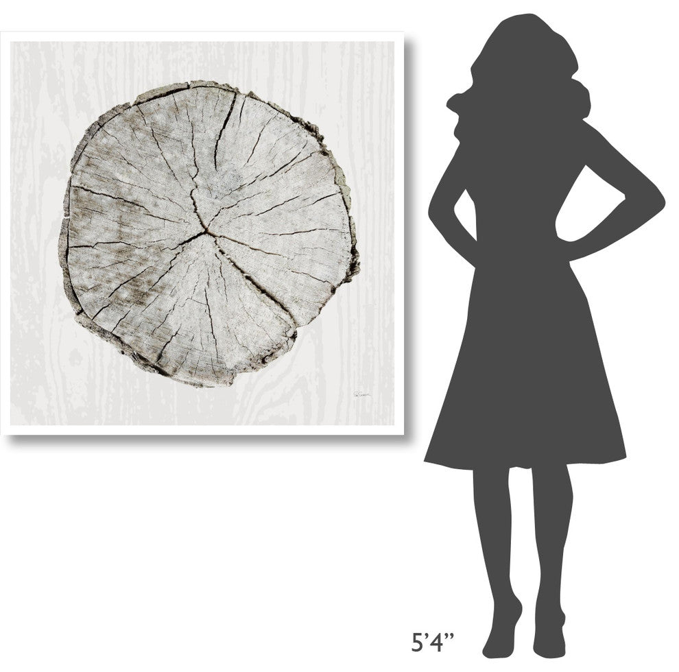 "Woodland Years I" Digital Paper Print by Sue Schlabach, 42"x42"