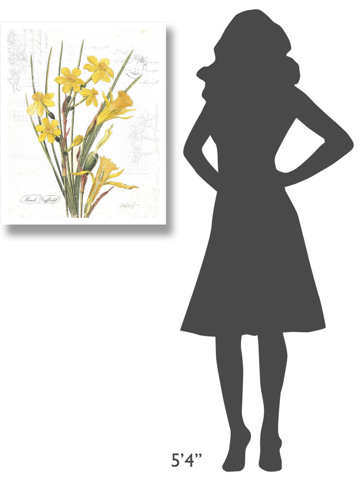 "March Daffodil on White" Digital Paper Print by Katie Pertiet, 24"x30"