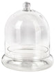 Serene Spaces Living Glass Cloche, Ideal as a Terrarium