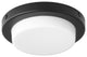 Quorum 8-356-69 LED Fan Light Kit, Black Finish