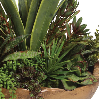 Uttermost Salar Succulents Plant In Teak Bowl