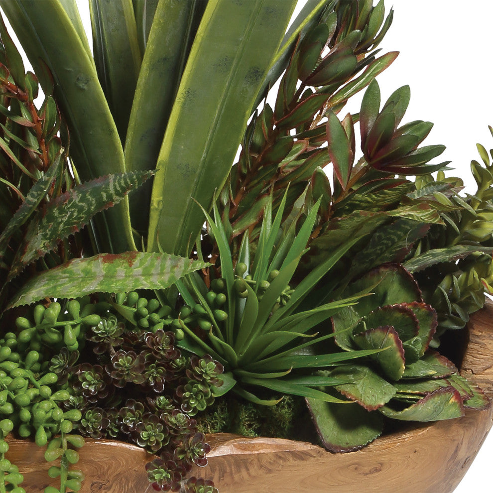 Uttermost Salar Succulents Plant In Teak Bowl