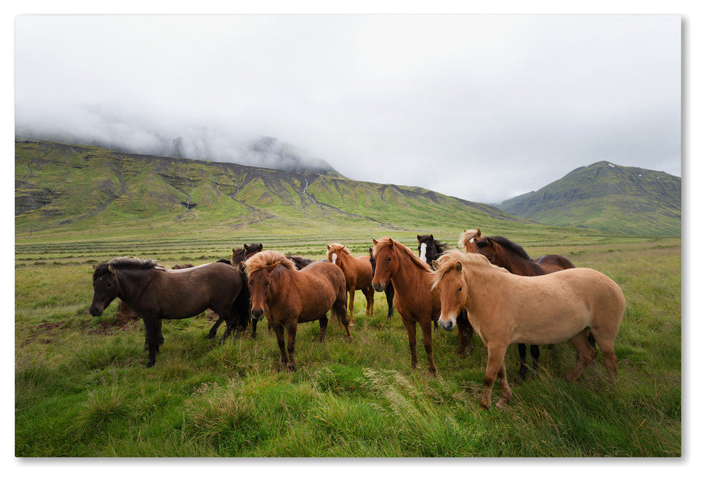Philippe Sainte-Laudy 'Bunch of Friends' Canvas Art