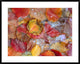 "Cottonwood frozen leaves, North America"  by Tim Fitzharris, 40x32"