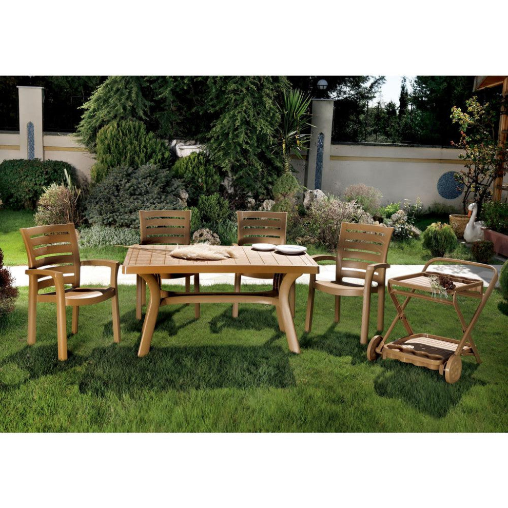 Marina Resin Dining Arm Chair Teak Brown, Set of 2