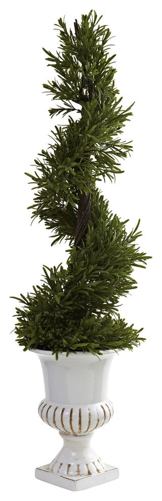 3" Rosemary Spiral With Urn, Indoor and Outdoor