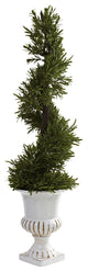 3" Rosemary Spiral With Urn, Indoor and Outdoor
