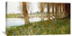 "The Amber Vale, a Host of Golden Daffodils" Artwork, 36" x 19"