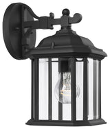 Generation Lighting Lighting 1-Light Outdoor Lantern, Black