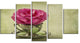 Red Rose in Cup and Saucer, Large Floral Canvas Art Print, 60"x32", 5 Panels