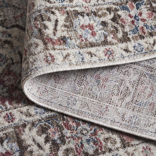 Safavieh Antique Patina ANP642 Rug, Beige/Brown, 2'4"x8'