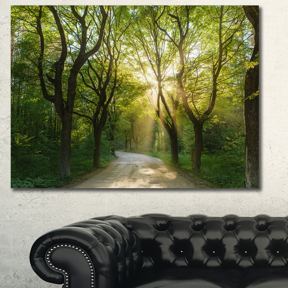 Evening in Green Forest, Large landscape Canvas Art Print, 60x40