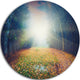 Rising Sun Over Arched Forest, Landscape Photo Round Metal Artwork, 11"