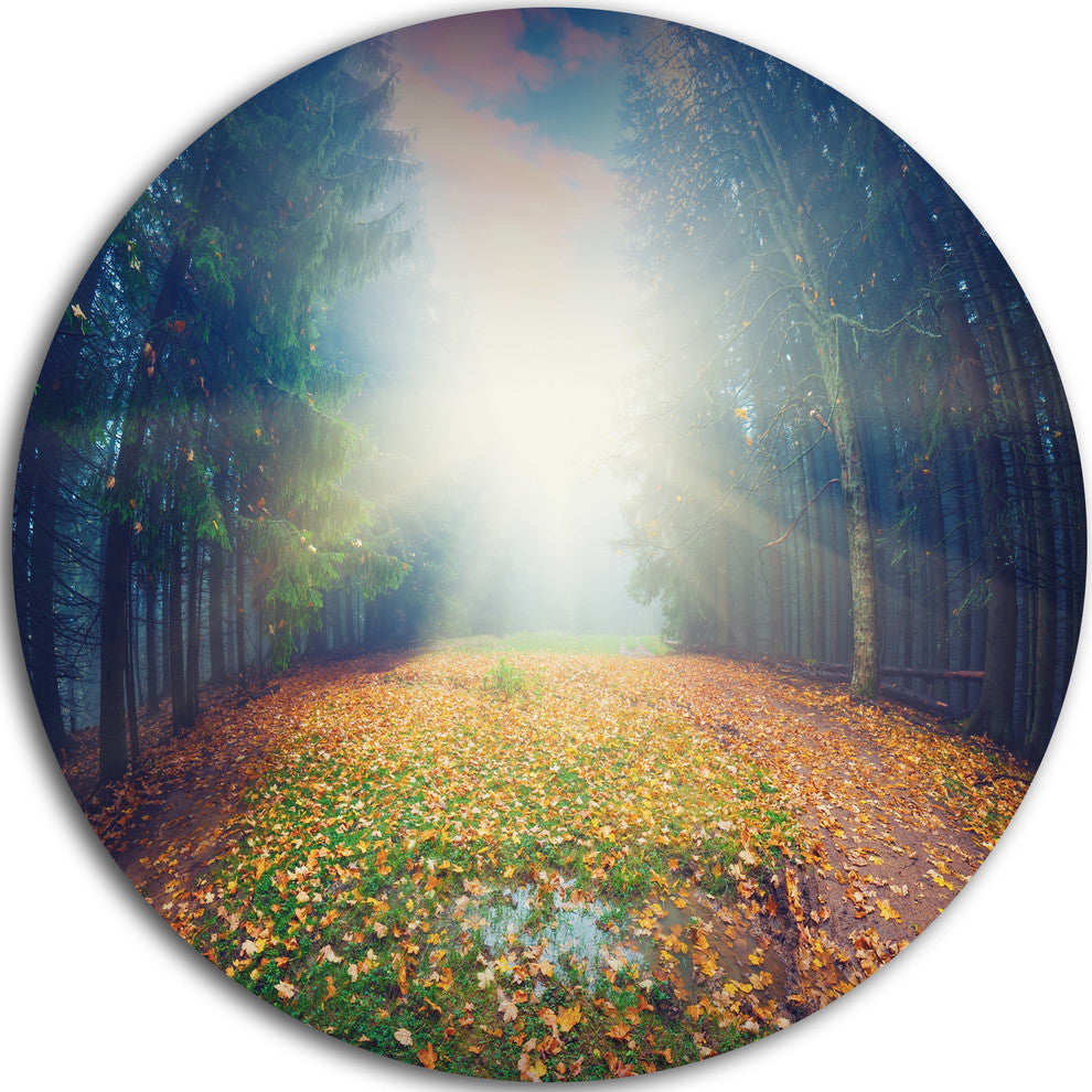 Rising Sun Over Arched Forest, Landscape Photo Round Metal Artwork, 11"
