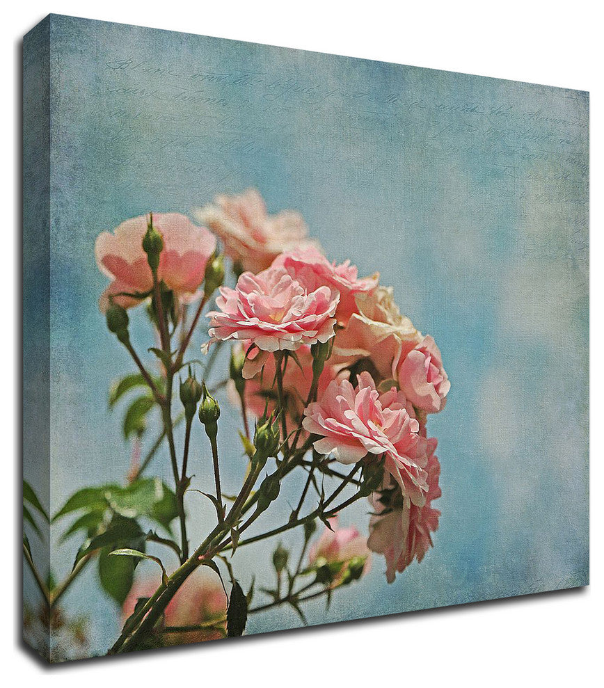 Antique Roses with French Script by Brooke T. Ryan,Print on Canvas, 30" x 24"