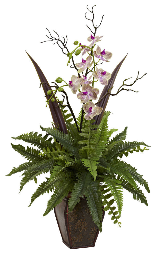 Fern and Orchid Arrangement