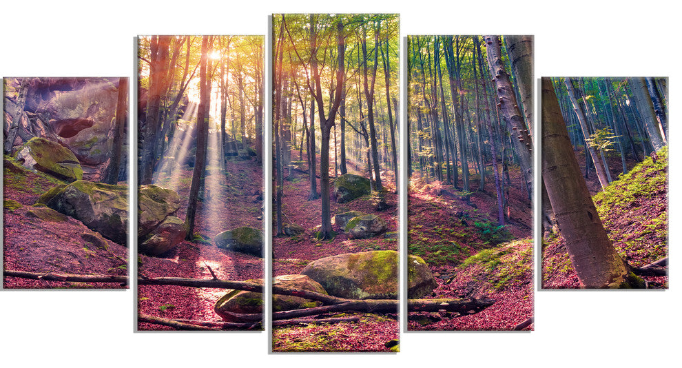 Autumn Morning in Mystical Woods, Landscape Canvas Print, 60"x32", 5 Panels