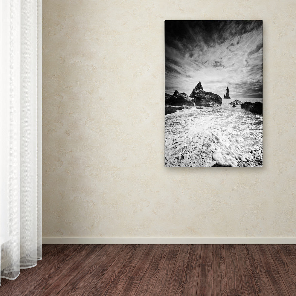 Philippe Sainte-Laudy 'Black Tip' Canvas Art