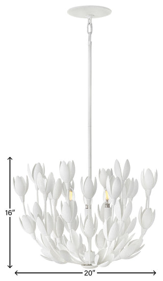 Hinkley 20" Flora Convertible Semi-Flush Ceiling Light, Textured Plaster