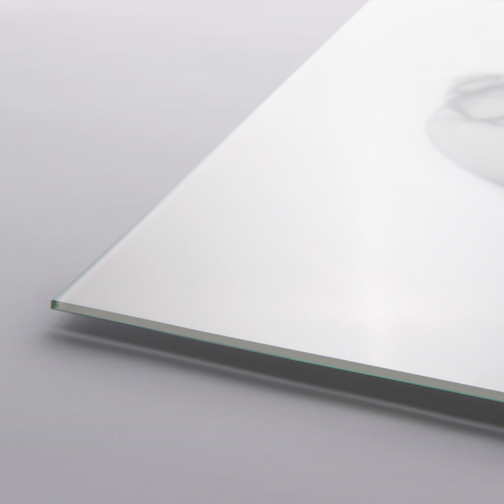 "Shimmering Snail I" Wall Art on Frameless Free Floating Tempered Glass Panel