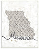 Stupell Industries Missouri Patterned Grey US State Design, 13 x 19