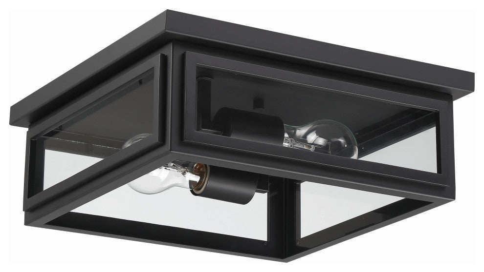 Byron 2-Light Outdoor Ceiling Mount, Matte Black
