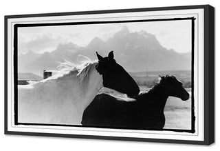 Letting Go Fine Art Print, Black, 30"x45"