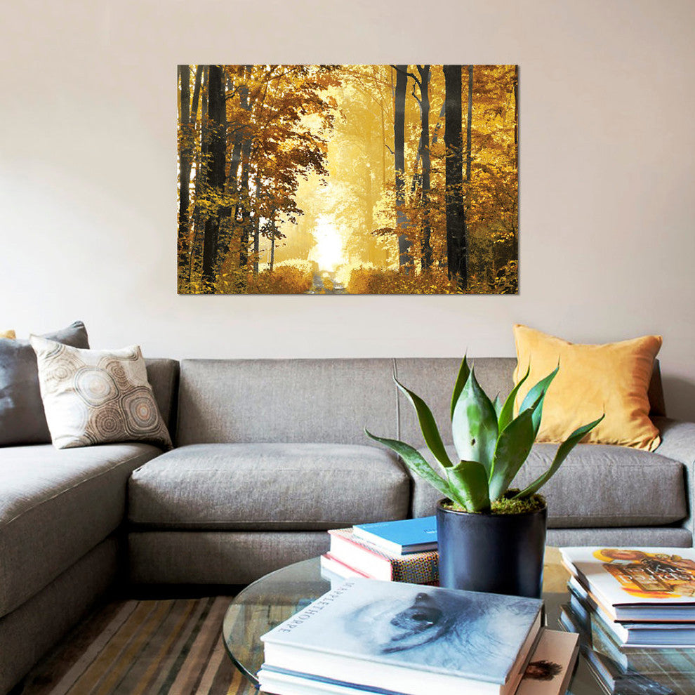 "Sunlit Path" by Derek Scott, Canvas Print, 40"x26"