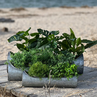 3 Piece Trough Planter Set