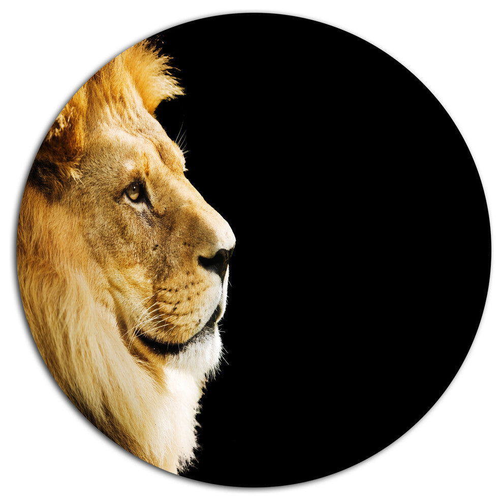 Lion Portrait On Black, African Round Wall Art, 11"