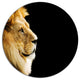 Lion Portrait On Black, African Round Wall Art, 11"